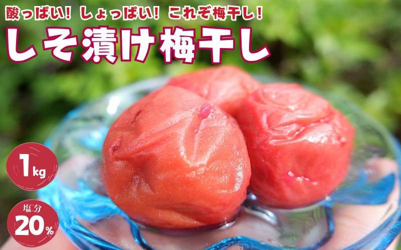 紀州南高梅 しそ漬け梅 1kg 20% 添加物不使用 / 梅 うめ ウメ 梅干し 梅干 しそ シソ しそ漬け 南高梅 紀州南高梅 和歌山県 田辺市