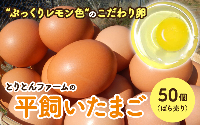 とりとんファームの平飼いたまご50個（ばら売り） / 田辺市 卵 たまご