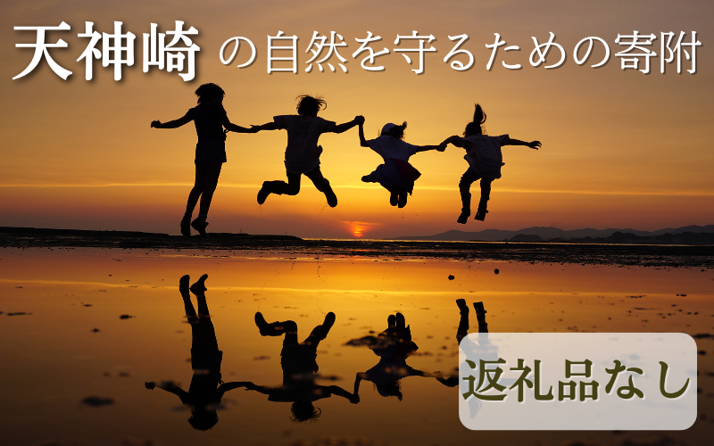 [返礼品なし]天神崎の自然を守るための寄附(寄附のみの受付となります)/ 田辺市 和歌山県 天神崎 自然 海 環境保護 [tjz001]