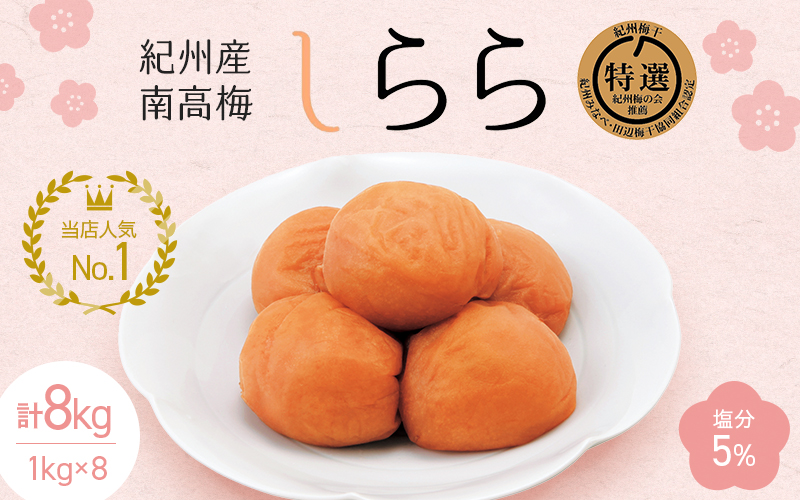 紀州産南高梅 しらら(塩分5%)1kg(500g×2入)×8個 / 田辺市 紀州南高梅 南高梅 梅干し 梅干 梅 うめ 肉厚 お米 おにぎり 焼酎 梅酒 健康 うす塩 減塩 塩分控えめ ご飯のお供[nkt005-1]