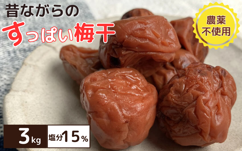 昔ながらのすっぱい梅干 3kg （200g×15） 塩分15％ / 梅干し 田辺市 紀州南高梅 南高梅 梅干 梅 うめ 肉厚 お米 おにぎり 焼酎 梅酒 健康 昔ながら 栽培期間中農薬不使用 和歌山 龍神 【mpt008】