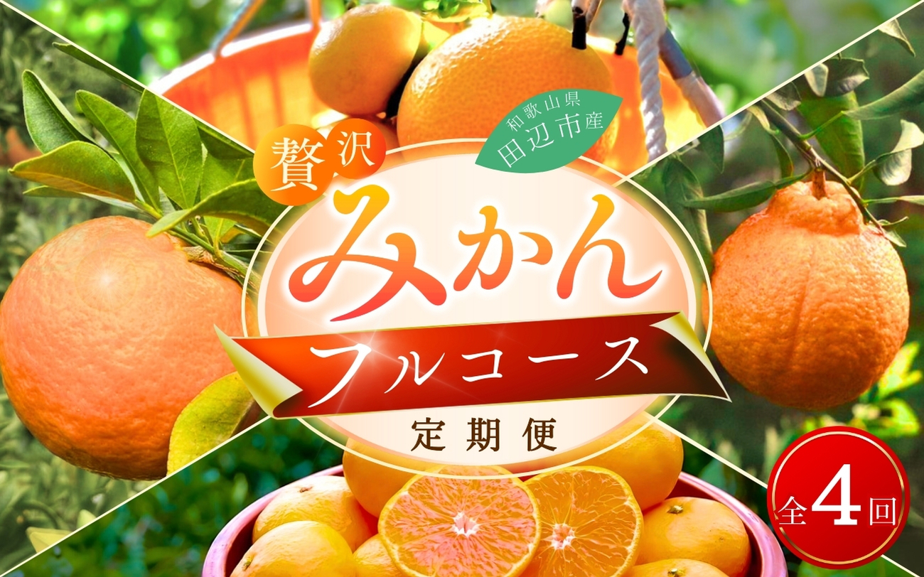 [先行予約][4回定期便]贅沢みかんフルコース※2024年12月より発送 (期間限定・12/20まで)/ 宮川早生みかん・ポンカン・紅八朔・不知火 / 和歌山県 ミカン フルーツ 果物 柑橘 田辺市 みかん くだもの [nak030-tk]