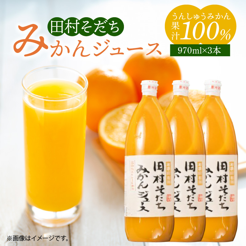 G7029_果汁100％田村そだちみかんジュース 970ml×3本