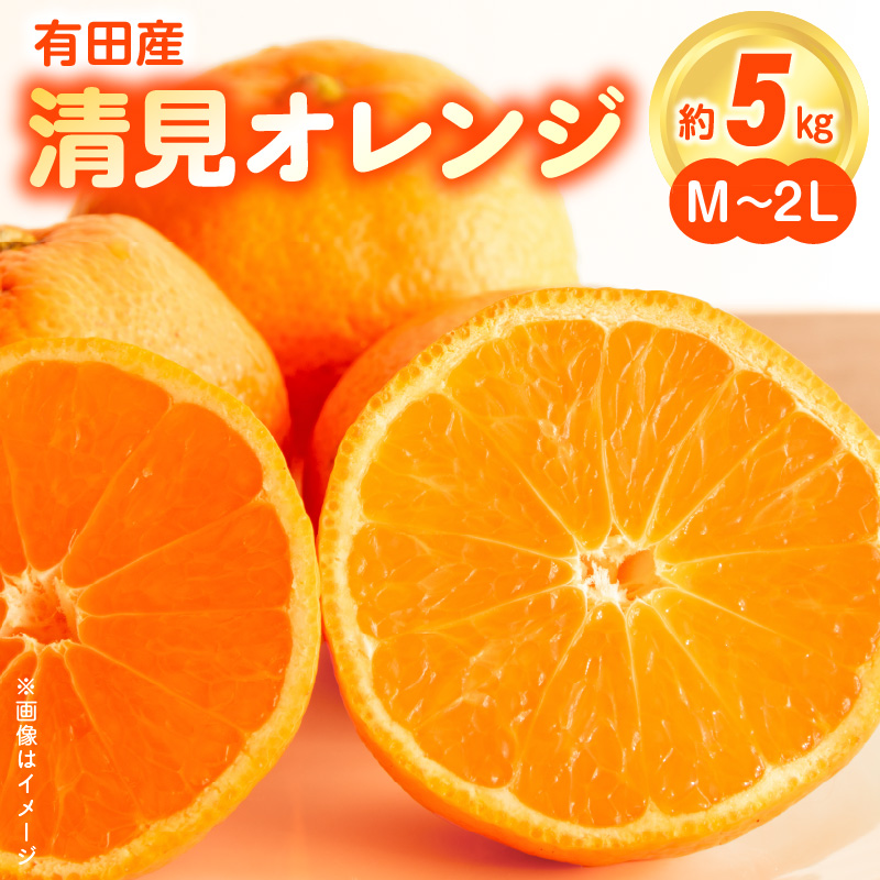 ZN6001n_【先行予約】和歌山県有田産 完熟 清見オレンジ 5kg ひとつひとつ丁寧に厳選！生産者から直送