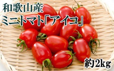 ZD6174_和歌山産ミニトマト「アイコトマト」約2kg（S・Mサイズおまかせ）4月発送