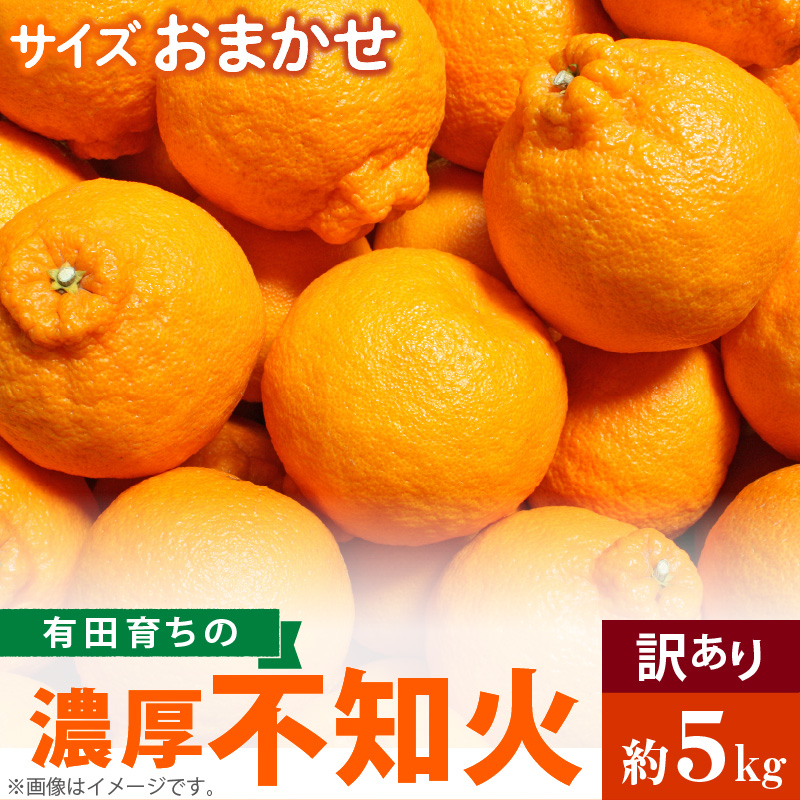 AB6034n_(先行予約)有田育ちの濃厚 不知火 (デコポンと同品種)(訳あり 家庭用)5kg