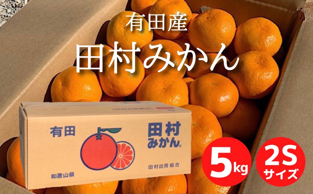 濃厚◎九州産 不知火 デコポン 訳あり 5kg みかん 好きにも 32 - 果物