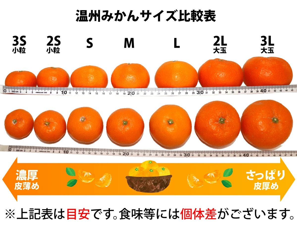 ZA94093_【先行予約】 田村みかん 約6kg(約3kg箱×2箱セット) 小粒（2S～3Sサイズ）【紀州グルメ市場】｜ふるラボ