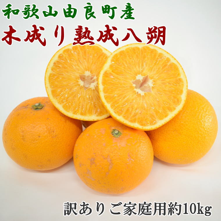 2100円 【代引可】 ふるさと納税 和歌山市 みかん 和歌山産 10kg ご自宅用 サイズ不揃い キズ等あり 数量限定