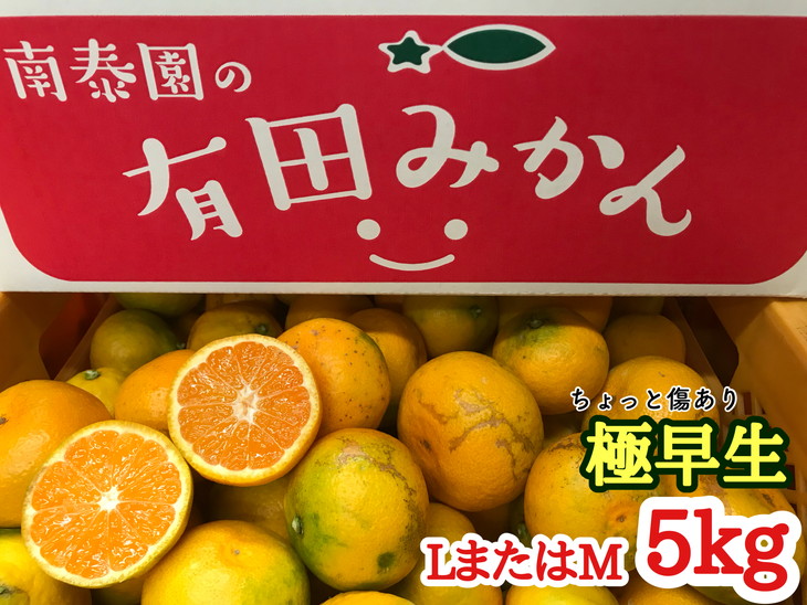 売れ筋】 特秀 5kg※2022年10月中旬〜11月下旬頃に