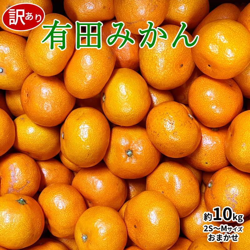 100%正規品 濃厚たねなし柿 秀品 M〜2Lサイズ 約7.5kg入り ※10月上旬〜11月上旬順次発送予定 www.realidad360.com