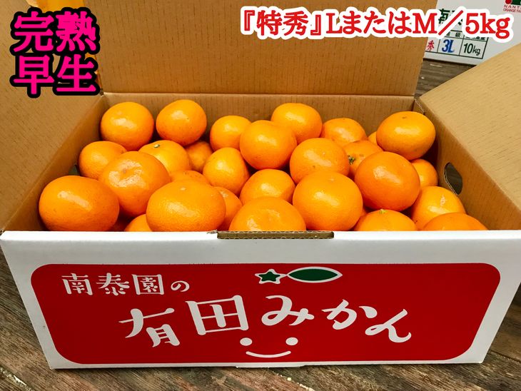 家庭用 超熟有田みかん8kg 240g 2022年11月〜12月下旬ごろに順次発送 傷み補償分