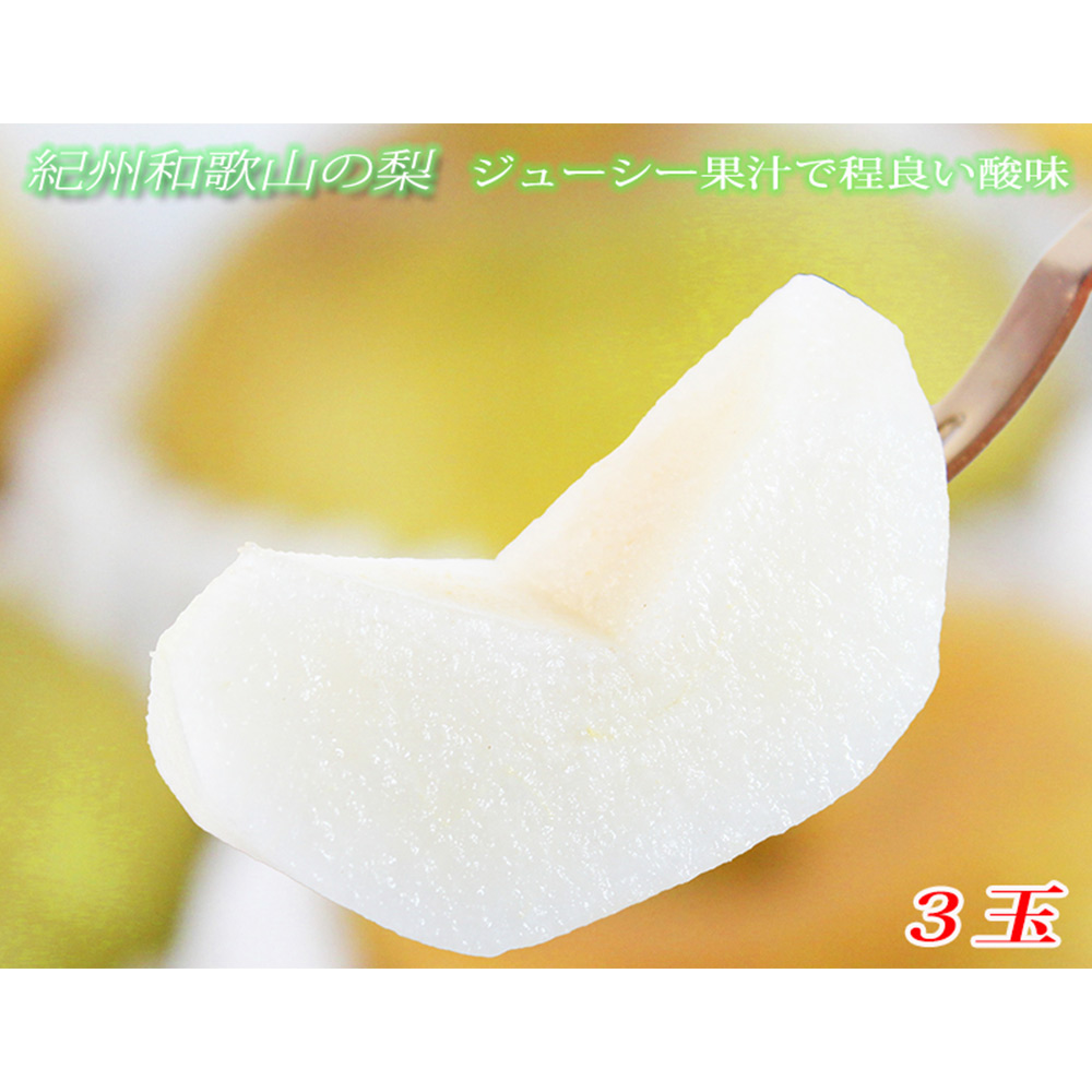 2023年発送】生産組合が育てる厳選・完熟マンゴー約1kg｜ふるラボ