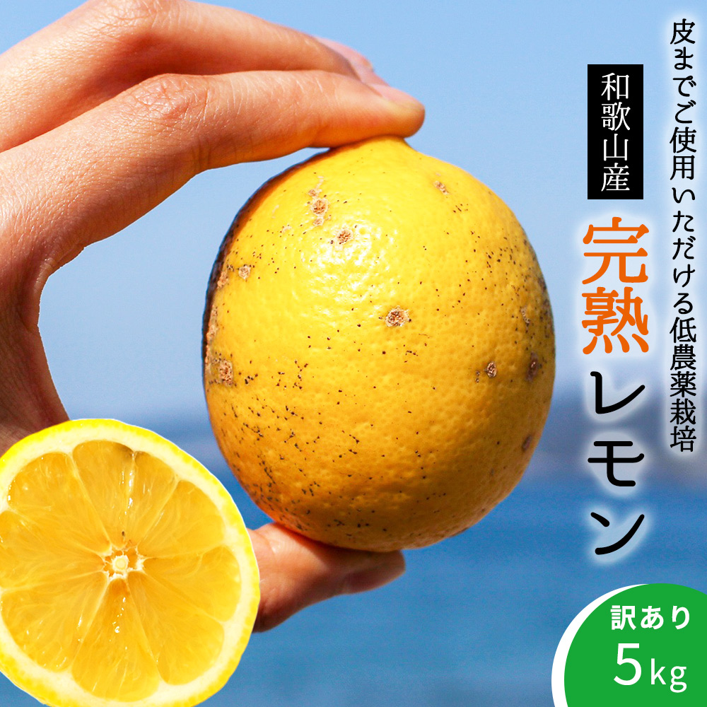 EA6023n_【訳あり・ご家庭用】完熟 レモン 5kg 皮までご使用いただける低農薬栽培!