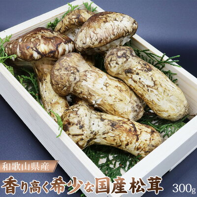 和歌山県産 松茸 200g ご家庭用 - 野菜