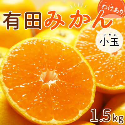 [2024年 先行予約]和歌山県産 有田みかん 小玉 1.5kg 訳あり