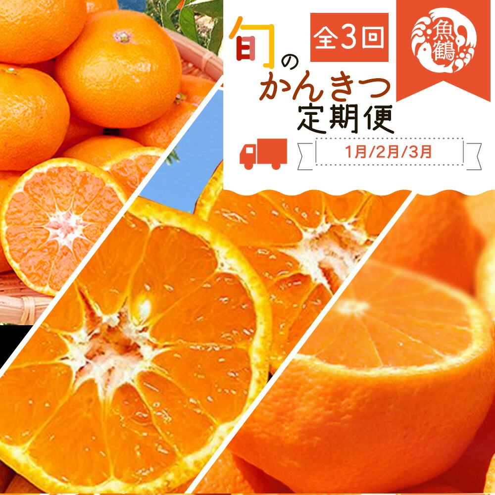 G60-T43_【定期便 全3回】紀州和歌山産 旬の柑橘セット（みかん