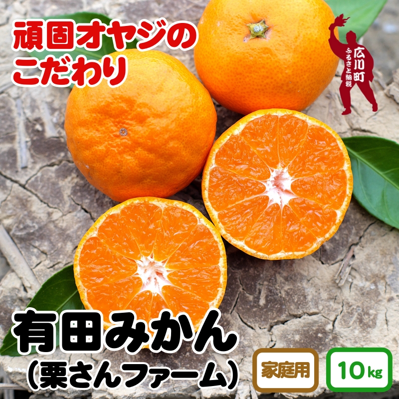 有田みかん約10kg 家庭用 頑固オヤジのこだわりみかん ※2024年11月中旬