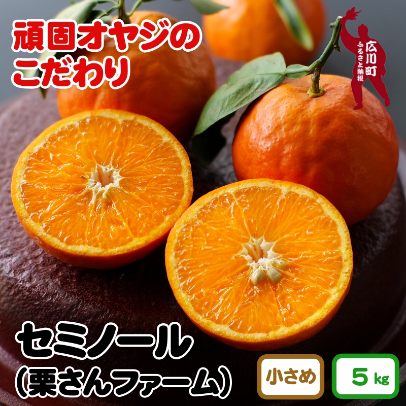 セミノールオレンジ 5kg（小さめサイズ混合）　※2024年4月中旬～5月中旬頃より順次発送予定　【krf016-s-5】