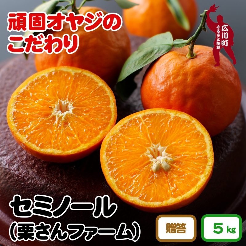 セミノールオレンジ 約5kg（化粧箱入り）　※2024年4月中旬～5月中旬頃より順次発送予定　【krf016-p-5】