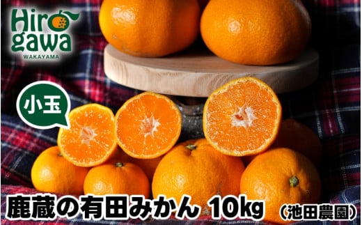 鹿蔵の 有田みかん 家庭用 わけあり 10kg+250g(痛み補償) 小さな (S以下) 先行予約 光センサー選果　※北海道・沖縄・離島への配送不可 / 温州みかん 痛み補償 果物 フルーツ くだもの 【ikd004-cs-10-nov】