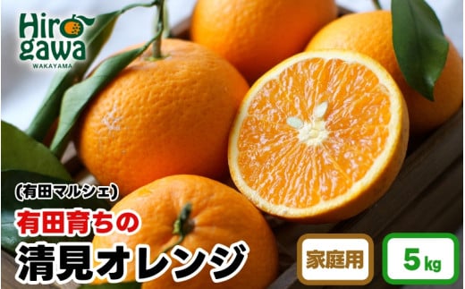 【産地直送】有田 育ちの ご家庭用 完熟 清見 オレンジ 5kg ※2月下旬～3月下旬頃に順次発送予定 ※北海道・沖縄・離島への配送不可 / みかん 和歌山 有田 オレンジ フルーツ 果物 甘い【ard011-c-5】