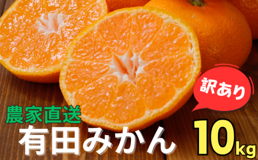 ▼【訳あり】農家直送 有田みかん 約10kg ご家庭用 サイズ混合 ※11月中旬から1月中旬までに順次発送予定 ※北海道・沖縄・離島への配送不可 【nuk004-noka-c10B】