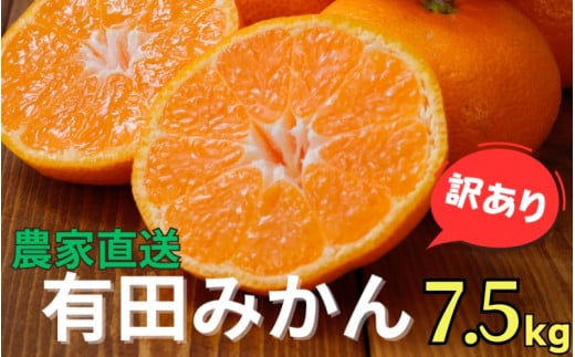 ▼【訳あり】農家直送 有田みかん 約7.5kg ご家庭用 サイズ混合 ※2024年11月中旬から2025年1月中旬までに順次発送予定 ※北海道・沖縄・離島への配送不可 【nuk004-noka-c7d5A】