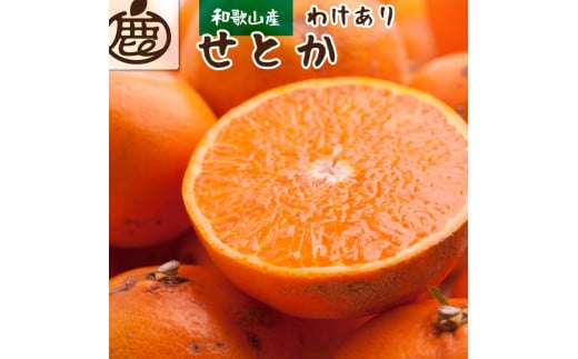 先行予約＞家庭用せとか2kg+60g（傷み補償分）【柑橘・春みかんの王様