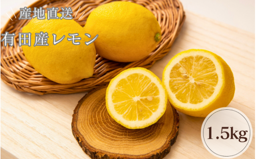 和歌山県有田産 レモン 約1.5kg ※2024年2月上旬頃〜2月下旬頃に順次
