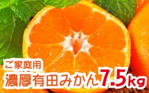 【2024年12月発送】農園直送！完熟有田みかん　7.5kg