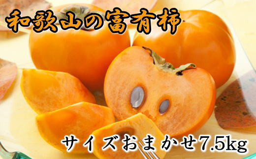 [甘柿の王様]和歌山産富有柿約7.5kgサイズおまかせ※2024年11月上旬～2024年12月上旬頃に順次発送