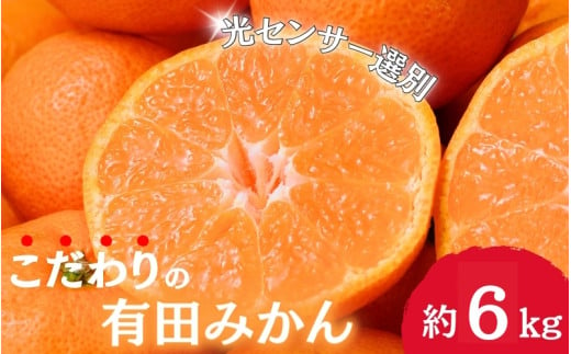 【11月発送】＼光センサー選別／農家直送 こだわりの有田みかん 約6kg＋250g(傷み補償分) 【ご家庭用】 みかん ミカン 有田みかん 温州みかん 柑橘 有田 和歌山 ※北海道・沖縄・離島配送不可/みかん ミカン 有田みかん 温州みかん 柑橘 有田 和歌山 産地直送【nuk102-1】