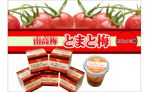 南高梅 とまと梅 tomato-ume １００ｇ×５個 / 梅干し 梅干 梅 トマト梅 【ypl004】