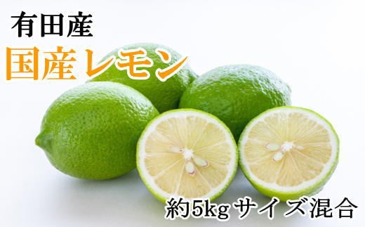 有田産の安心国産レモン約5kg （サイズ混合）※2024年10月中旬～2025年3月下旬頃に順次発送予定（お届け日指定不可）