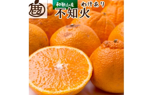 ＜先行予約＞【訳あり】 不知火 4kg+150g（傷み補償分）【デコポンと同品種・人気の春みかん】ご家庭用＜2月より発送＞※北海道・沖縄・離島への配送不可 / しらぬい デコポン デコ  柑橘 5000円【ikd163A】