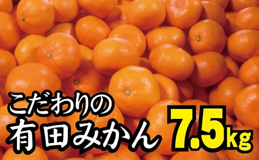 2023年12月発送予約分】【農家直送】こだわりの有田みかん 約7.5kg