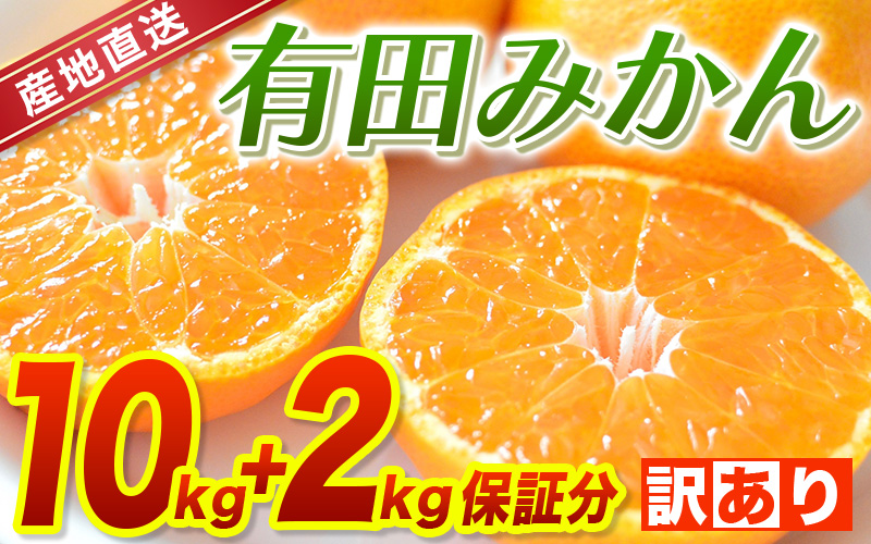 【訳あり】2S～3Lサイズおまかせ！有田みかん 10kg+2kg保証分 11月から12月下旬までに順次発送致します。 / 訳ありみかん 有田みかん みかん ミカン 蜜柑 柑橘 温州みかん 和歌山 ご家庭用 