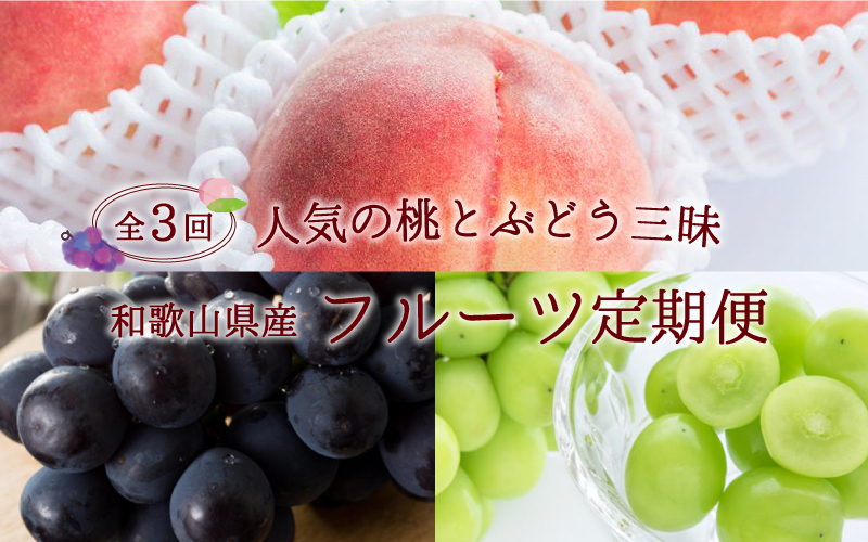 【3か月定期便】【数量限定】和歌山産フルーツ定期便！人気の桃とぶどう三昧　桃 ピオーネ シャインマスカット