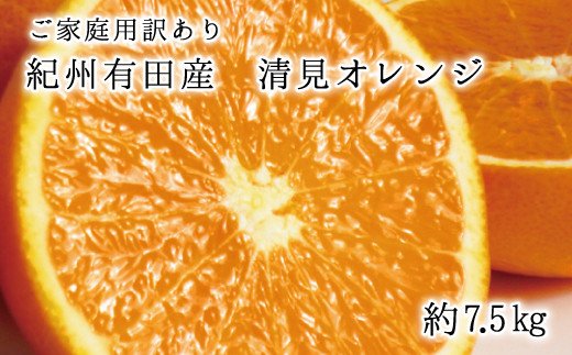 ご家庭用訳アリ】紀州有田産清見オレンジ 7.5kg ※2024年3月下旬頃