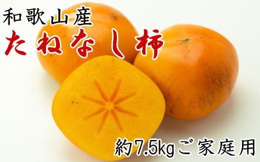 【秋の味覚】和歌山産のたねなし柿ご家庭用約7.5kg※2024年10月上旬から11月上旬順次発送
