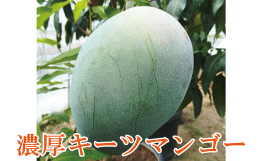 【希少マンゴー】濃厚キーツマンゴー　約800g(1～2玉)【ard041B】