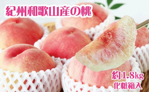 紀州和歌山産の桃　約1.8kg　化粧箱入 ※2025年6月下旬～2025年8月上旬頃順次発送（お届け日指定不可）【uot720-2】