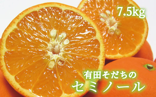 有田育ちの爽快セミノールオレンジ(ご家庭用)　約7.5kg【2024年4月より順次発送予定】