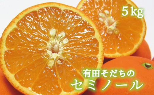 有田育ちの爽快セミノールオレンジ(ご家庭用)　約5kg【2025年4月上旬～4月下旬順次発送予定】