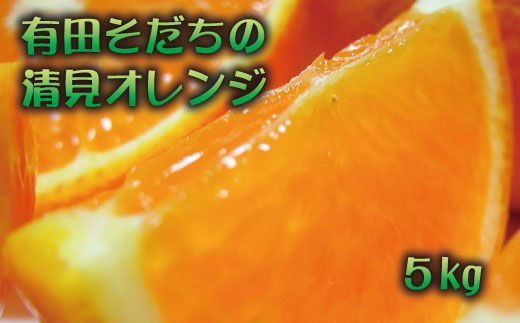 【2025年3月上旬～発送】有田育ちの完熟清見オレンジ(ご家庭用)　約5kg