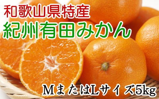 [秀品]和歌山有田みかん 5kg(MサイズまたはLサイズのいずれか) ※2024年11月中旬〜1月中旬頃順次発送予定(お届け日指定不可)