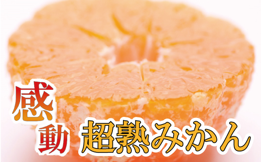 家庭用 超熟有田みかん2.5kg+75g(傷み補償分)[わけあり・訳あり][光センサー選果][11月上旬より順次発送予定][ikd113B]