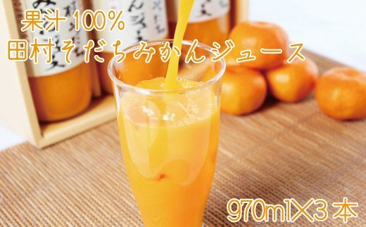 果汁100%　田村そだちみかんジュース　970ml×3本