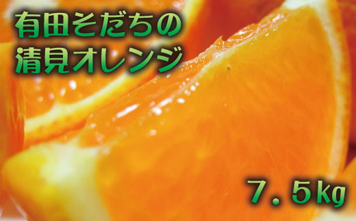 【2025年3月上旬～発送】有田育ちの完熟清見オレンジ(ご家庭用)　約7.5kg
